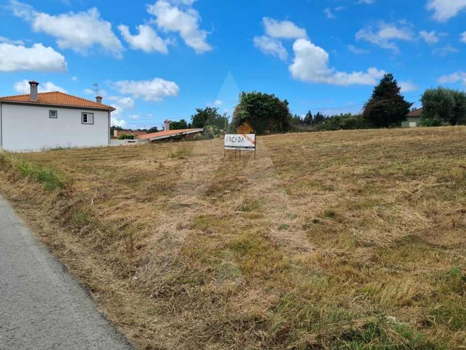 Helårsgrund i Macinhata do Vouga, Aveiro - foto 3