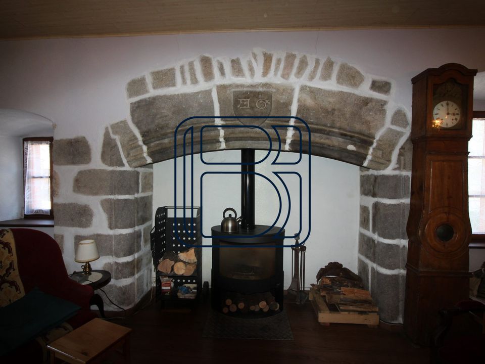 Villa in Ambert, Puy-de-Dome - foto 4