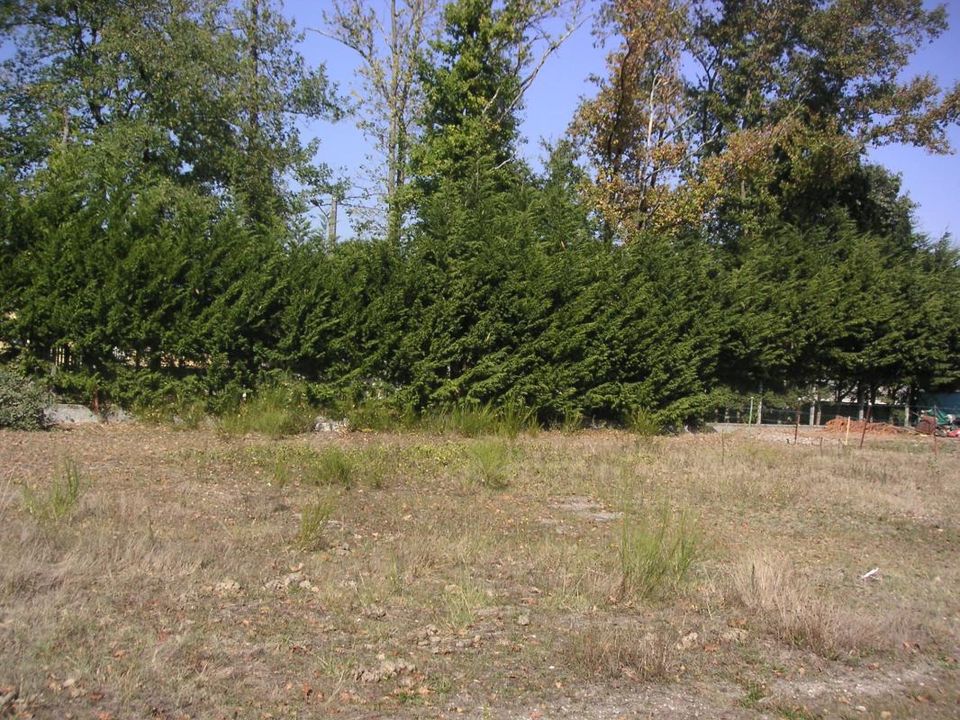 Helårsgrund i Le Bouscat, Gironde - foto 1