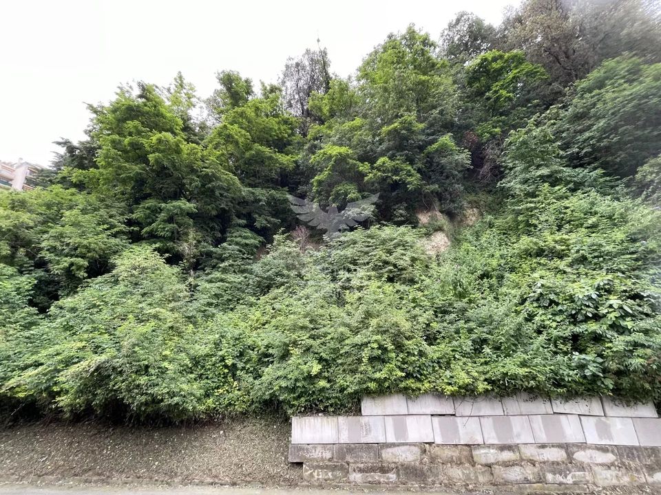 Terreno en Nice, Alpes-Maritimes - foto 4