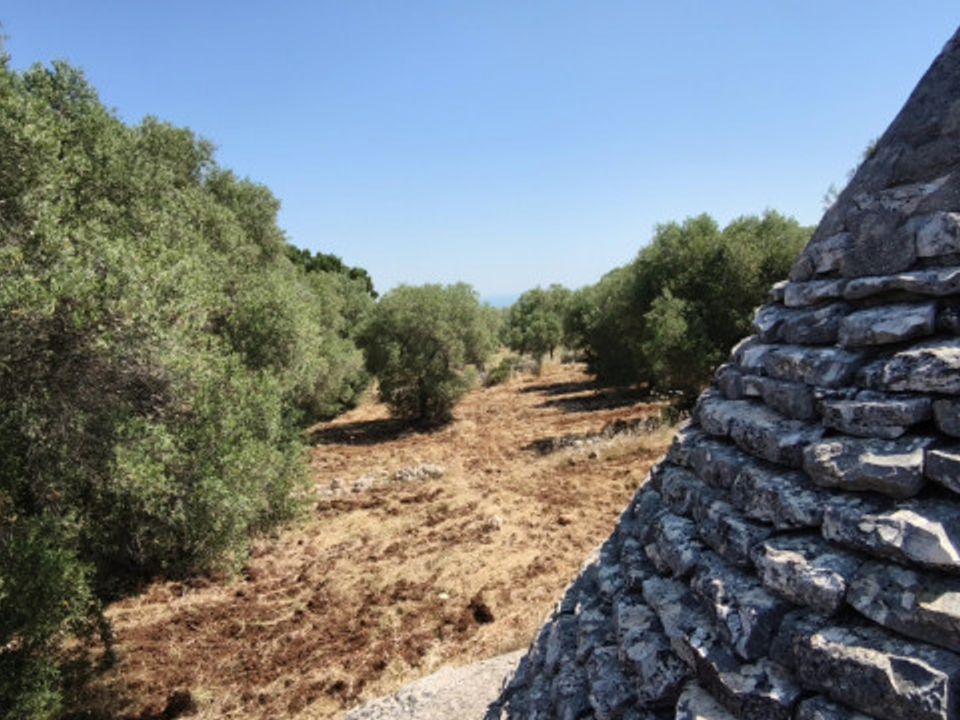Helårsgrund i Fasano, Brindisi - foto 1