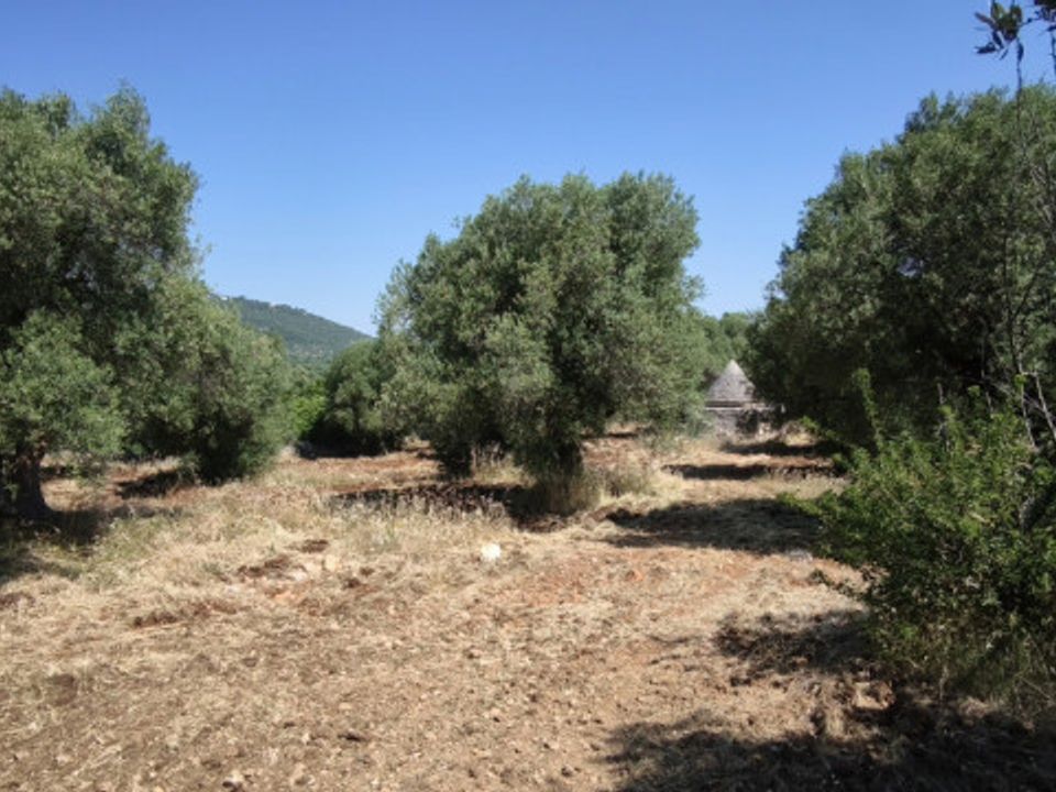 Helårsgrund i Fasano, Brindisi - foto 2