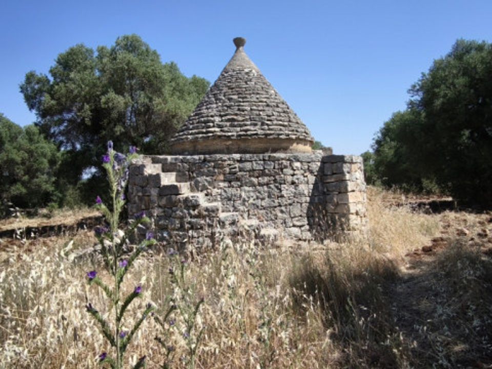 Helårsgrund i Fasano, Brindisi - foto 4