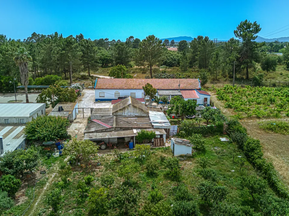 Farm hus i Palmela, Setubal - foto 5