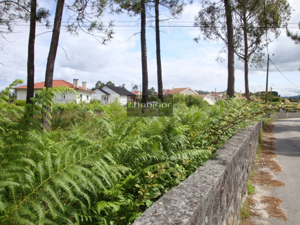 Tomt i Vila Fria e Vizela (Sao Jorge), Porto - bilde 4
