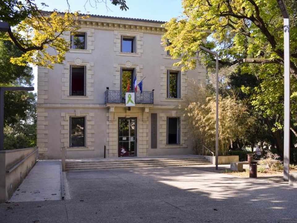 Helårsgrund i Saint-Georges-d'Orques, Herault - foto 3