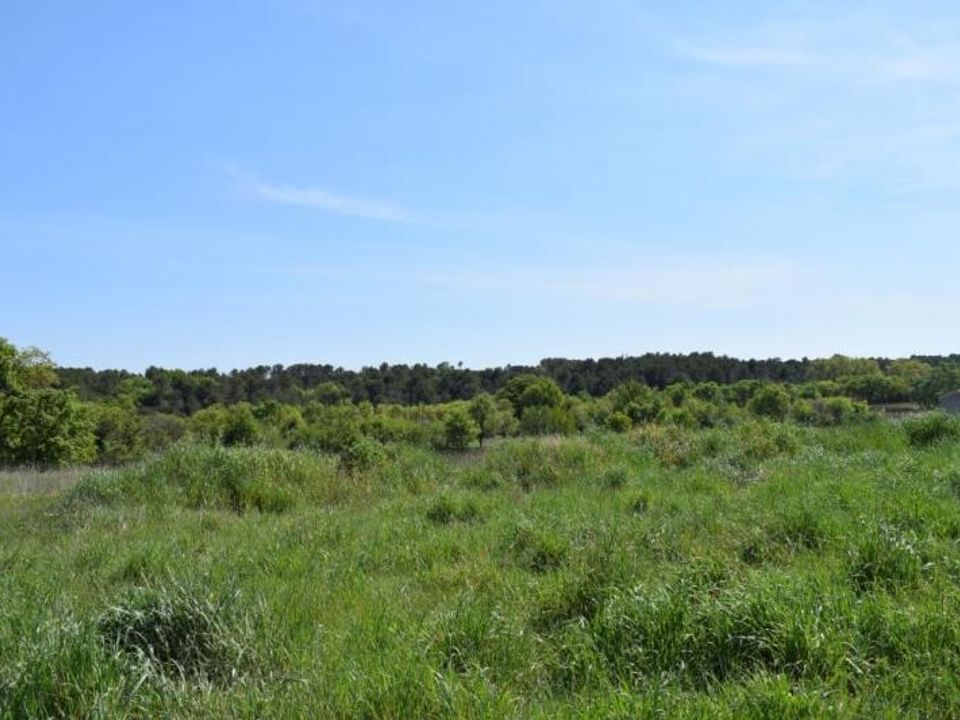 Helårsgrund i Galargues, Herault - foto 3