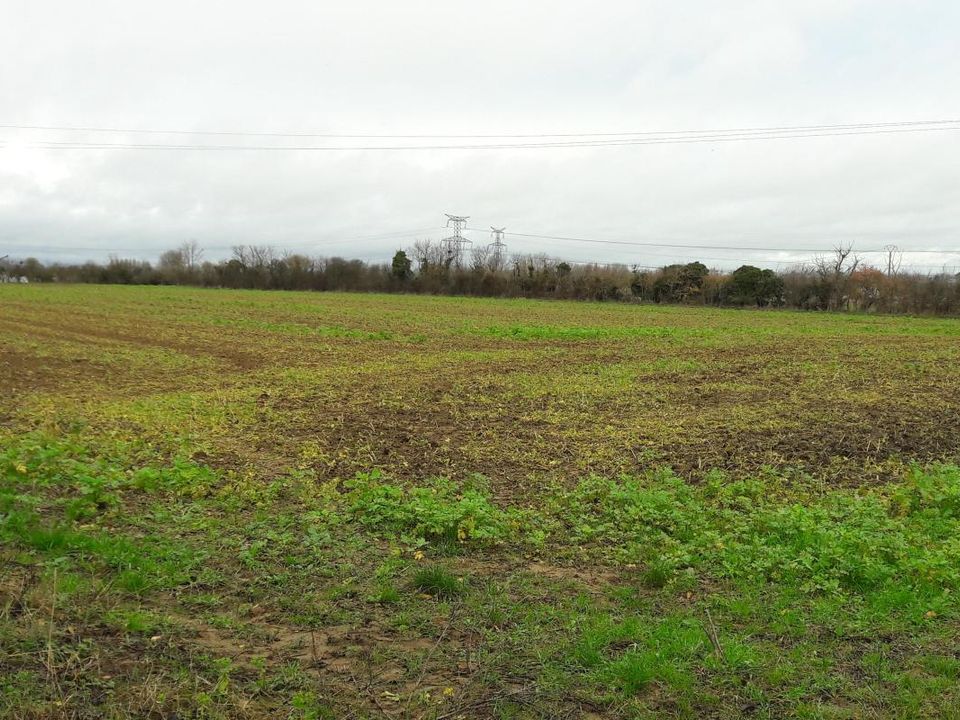 Helårsgrund i Cauvicourt, Calvados - foto 1