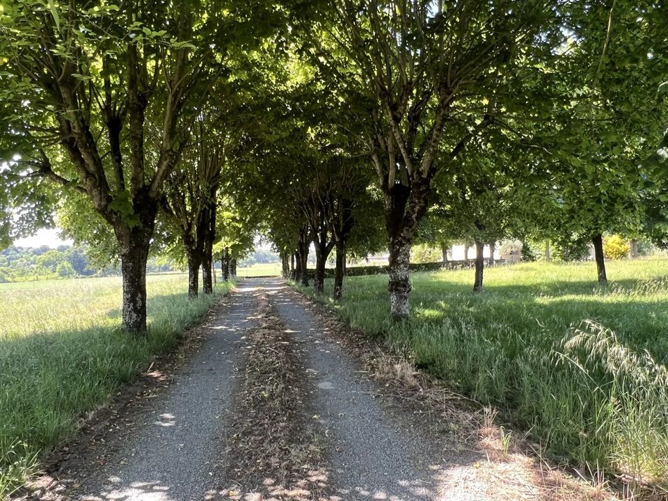 Villa i Réalmont, Tarn - bilde 3