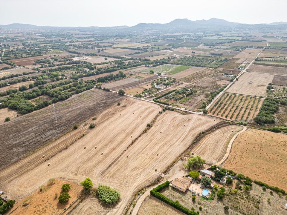 Helårsgrund i Manacor, Mallorca - foto 3
