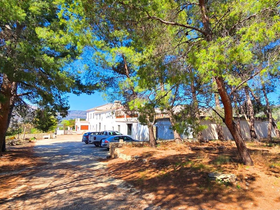Finca i Xixona, Alicante - foto 1