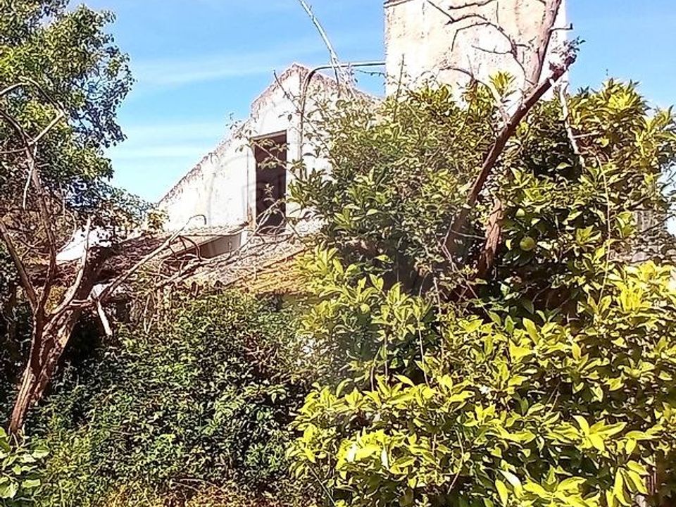 Gårdshus i Coruche, Santarem - bilde 3
