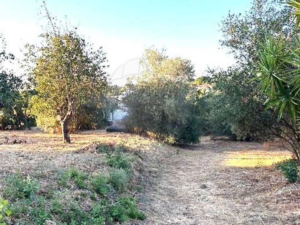 Gårdshus i Coruche, Santarem - bilde 5