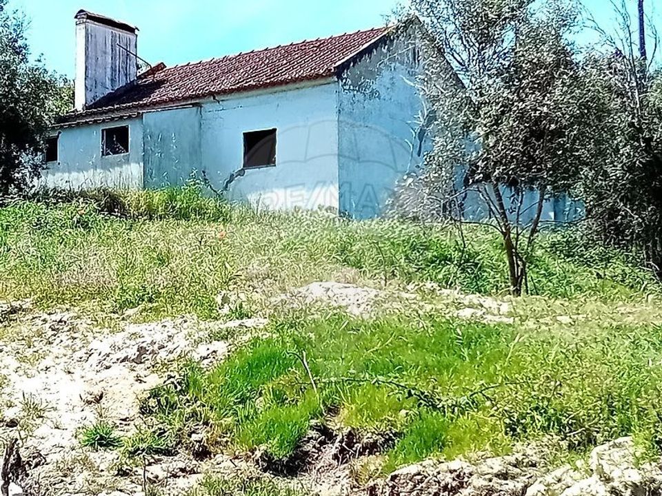 Gårdshus i Coruche, Santarem - bilde 2