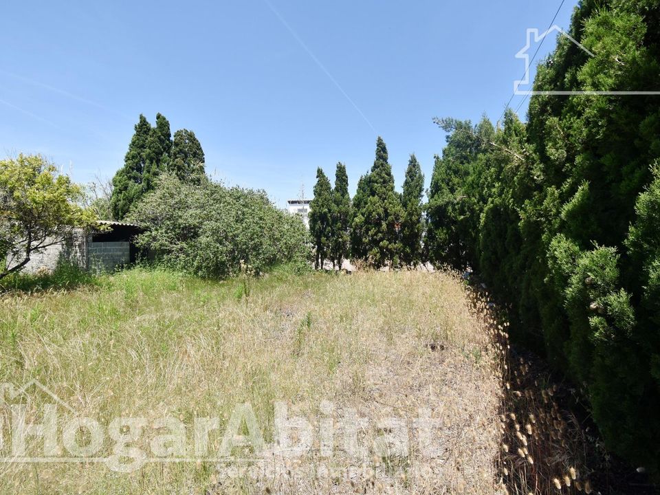 Tomt i Nules, Castellon - bilde 3