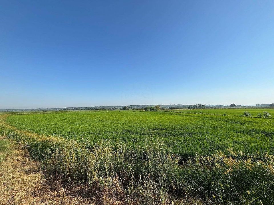 Gårdshus i Coruche, Santarem - bilde 3