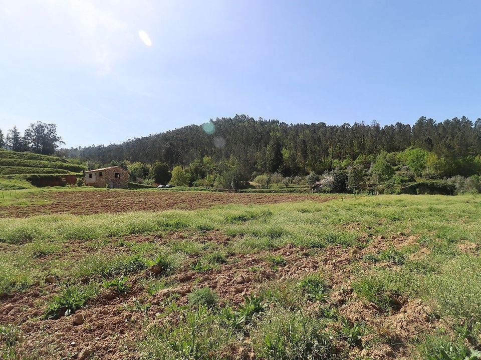 Farm hus i Arganil, Coimbra - foto 3