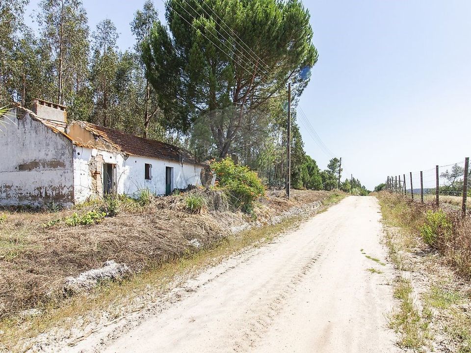 Villa i Coruche, Santarem - bilde 1