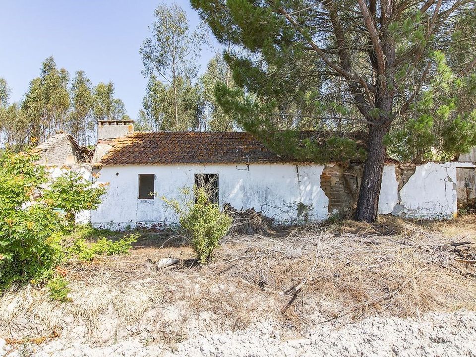 Villa i Coruche, Santarem - bilde 2