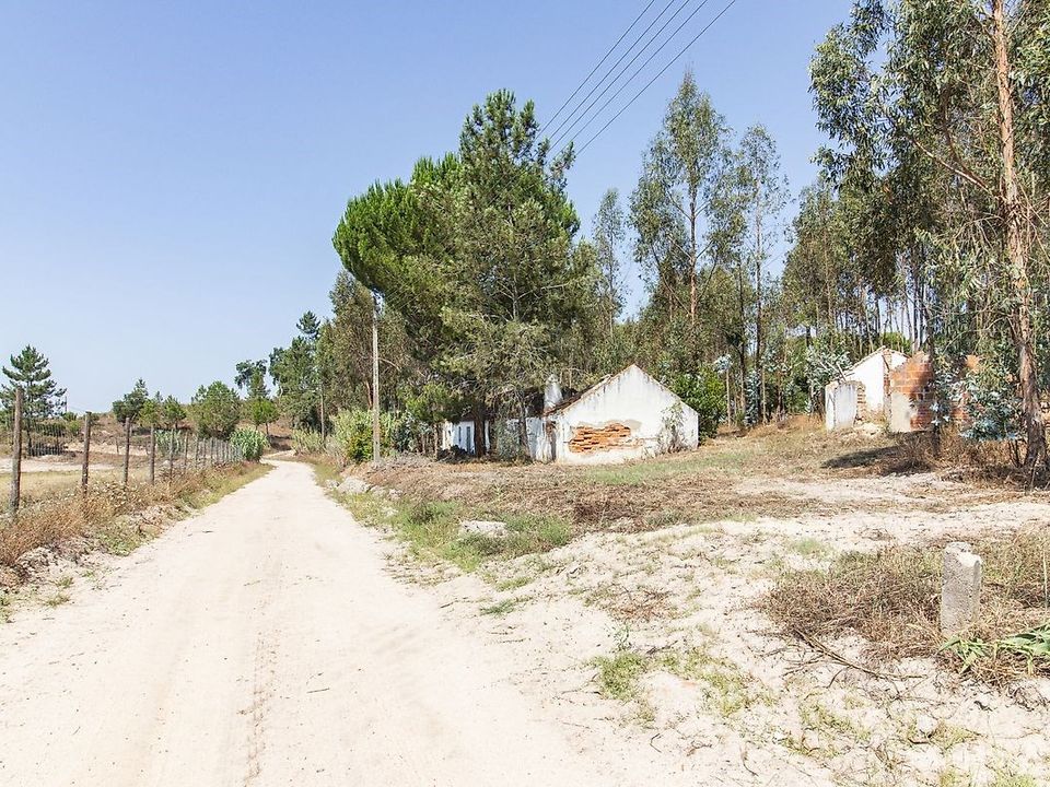 Villa i Coruche, Santarem - bilde 3