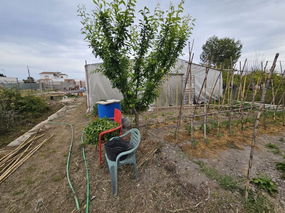 Villa i Oliva, Valencia - foto 3