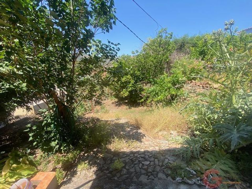 Finca in Comares, Malaga - foto 3