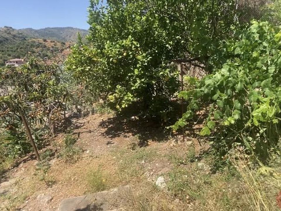 Finca in Comares, Malaga - foto 4