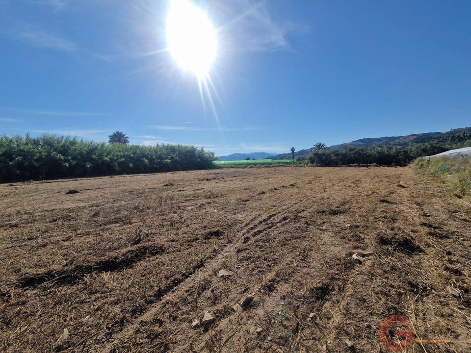 Finca i Motril, Granada - foto 4