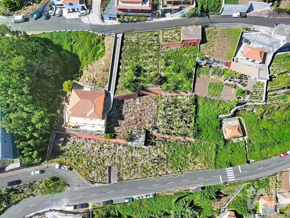 Helårsgrund i Camara de Lobos, Madeira - foto 3