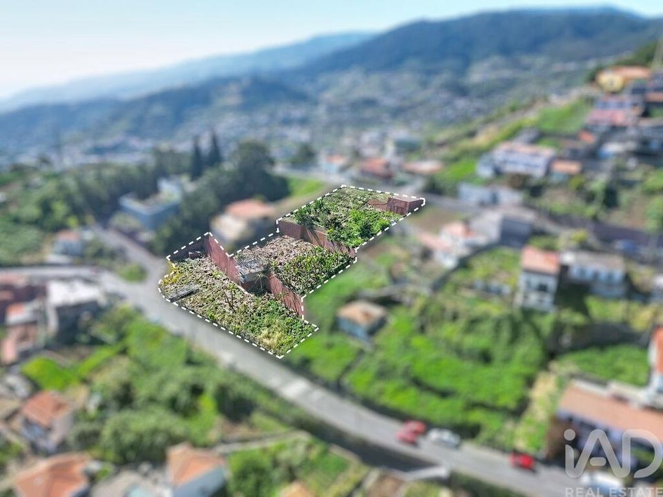 Helårsgrund i Camara de Lobos, Madeira - foto 4