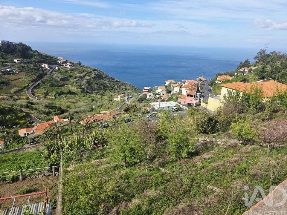 Helårsgrund i Camara de Lobos, Madeira - foto 5