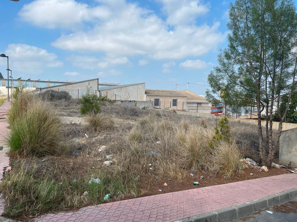 Helårsgrund i Rojales, Alicante - foto 4
