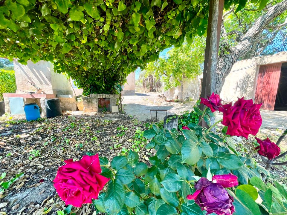 Villa i La Romana, Alicante - foto 5