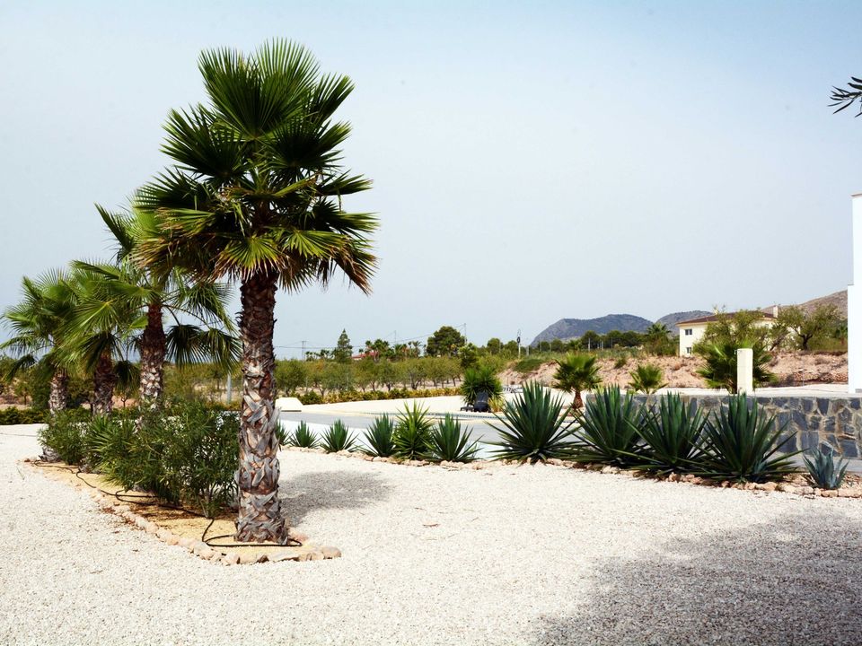 Landejendom i Macisvenda, Murcia - foto 5