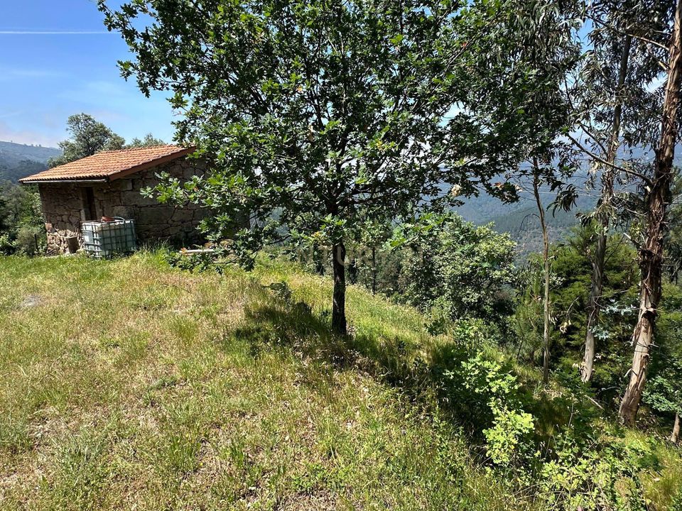 Farm hus i Vieira do Minho, Braga - foto 4
