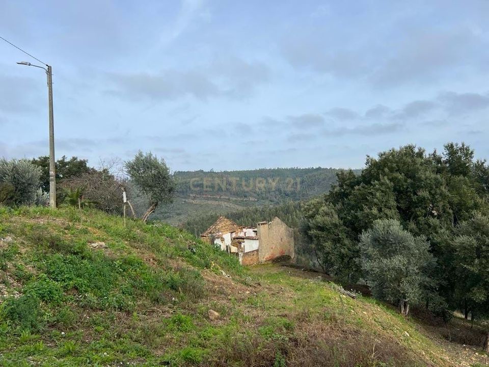 Villa i Abrantes, Santarem - foto 4