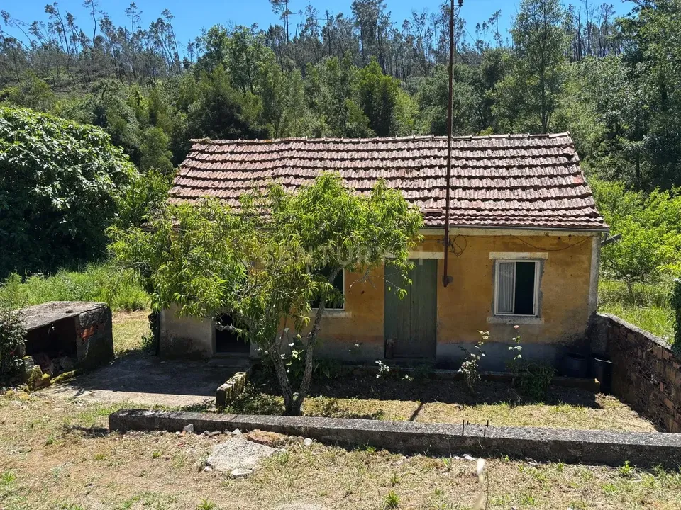 Villa i Pombal, Leiria - foto 1