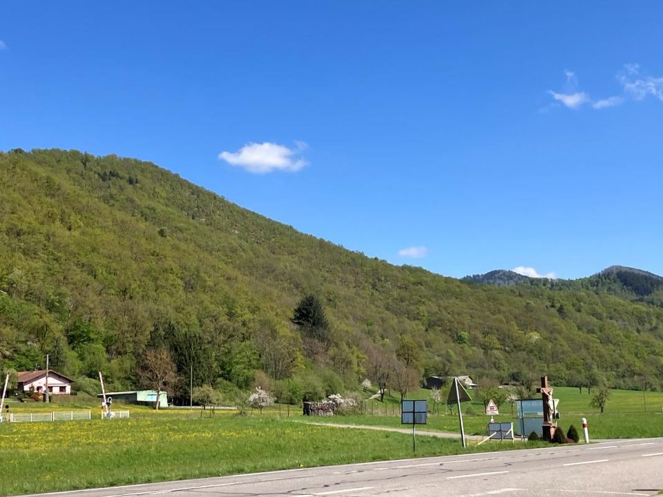 Lejlighed i Moosch, Haut-Rhin - foto 5