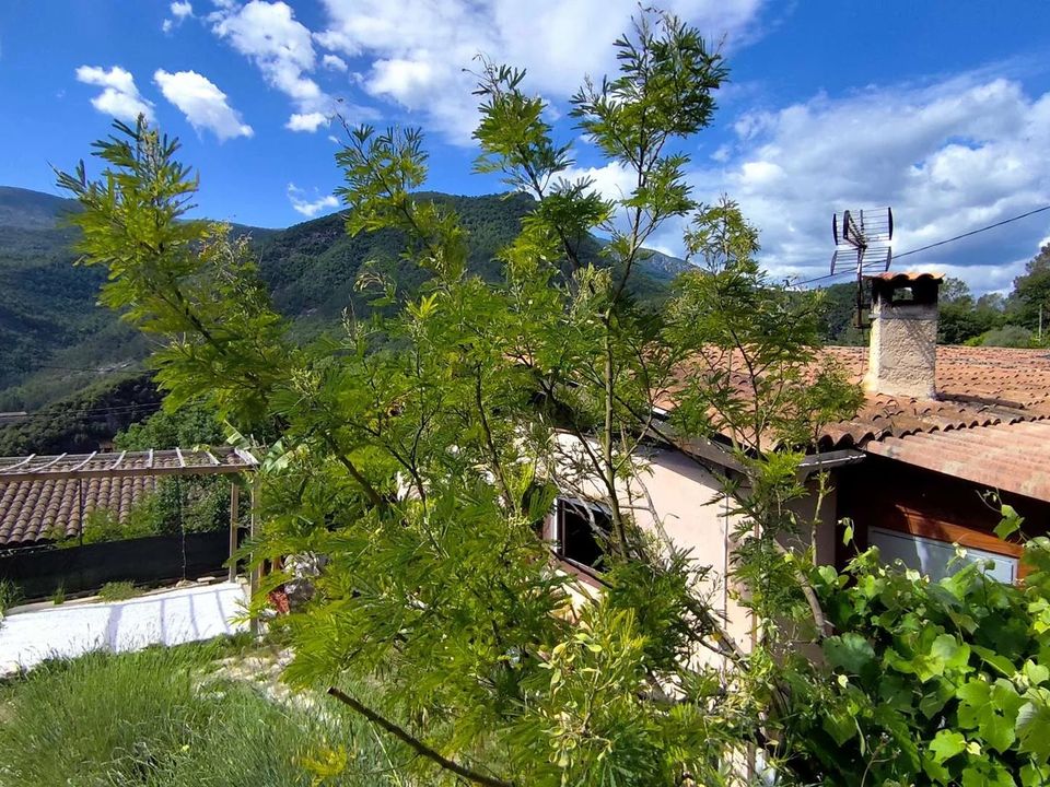 Villa i Roquestéron, Alpes-Maritimes - foto 2