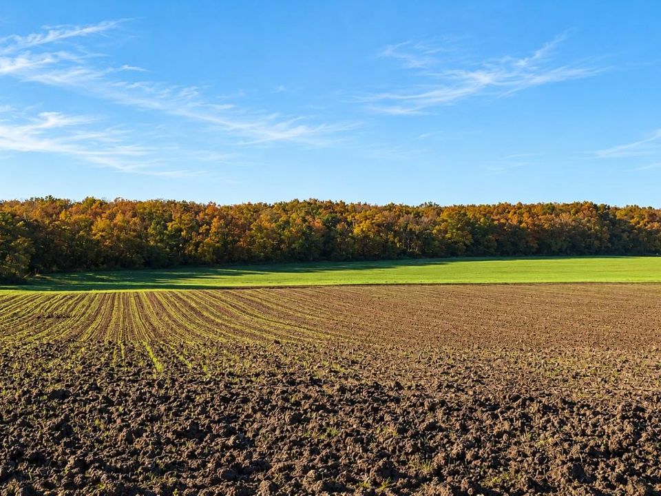 Helårsgrund i Jeu-les-Bois, Indre - foto 1