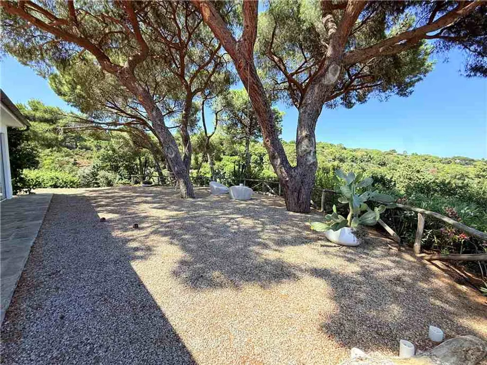 Villa i Capoliveri, Livorno - foto 4