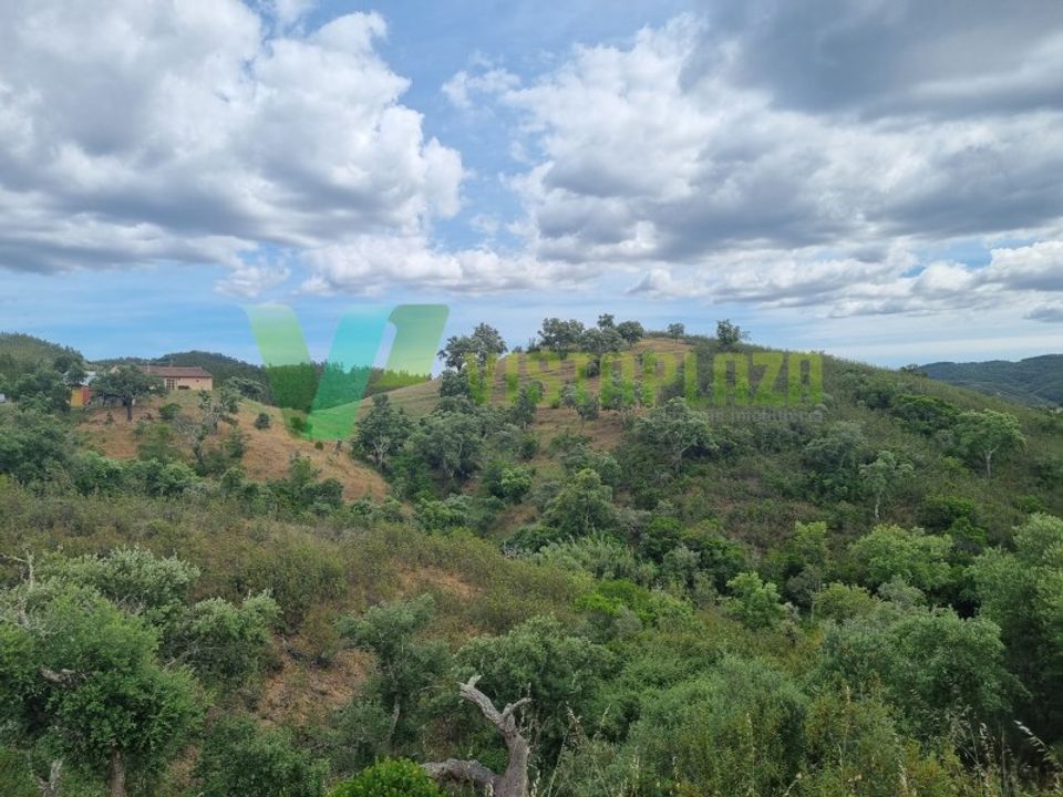 Helårsgrund i Silves, Faro - foto 4