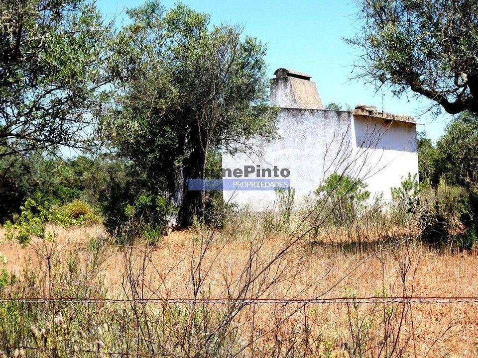 Terreno en Portel, Evora - foto 1