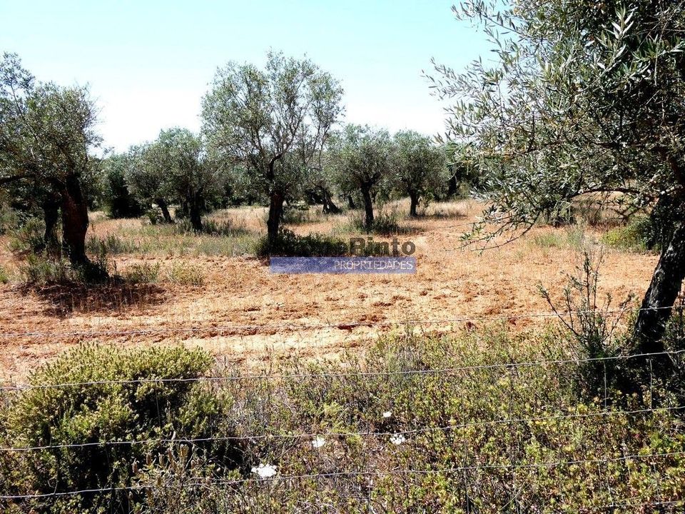 Terreno en Portel, Evora - foto 2