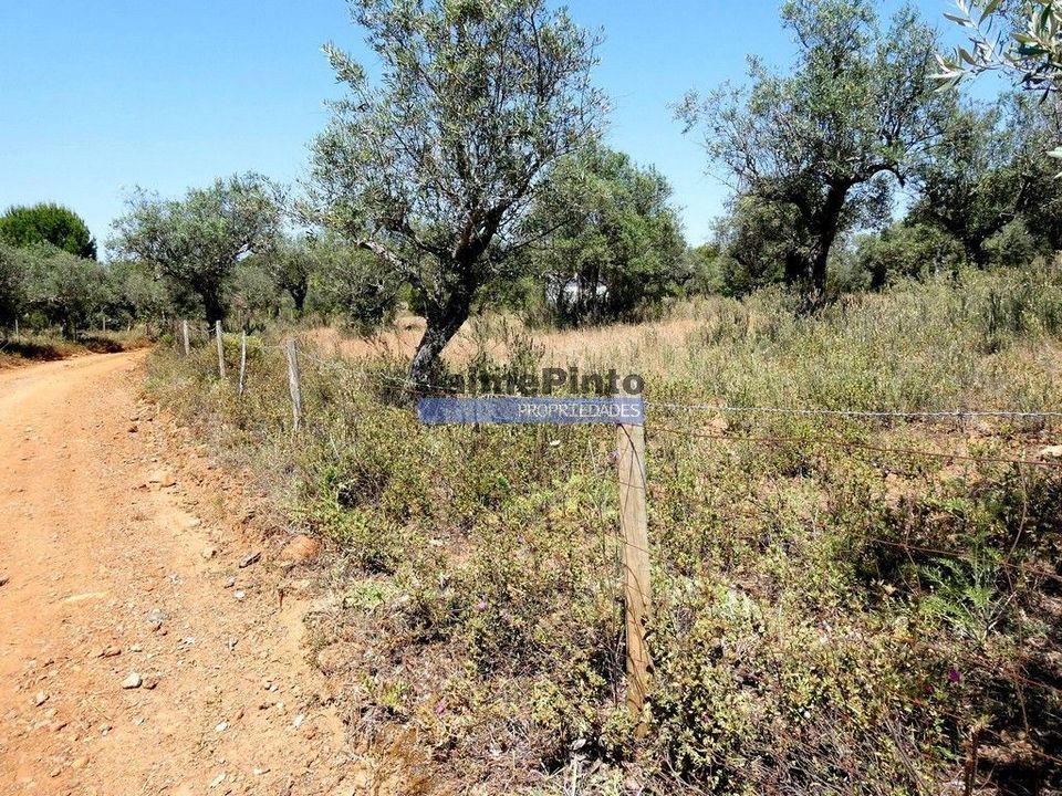 Terreno en Portel, Evora - foto 3