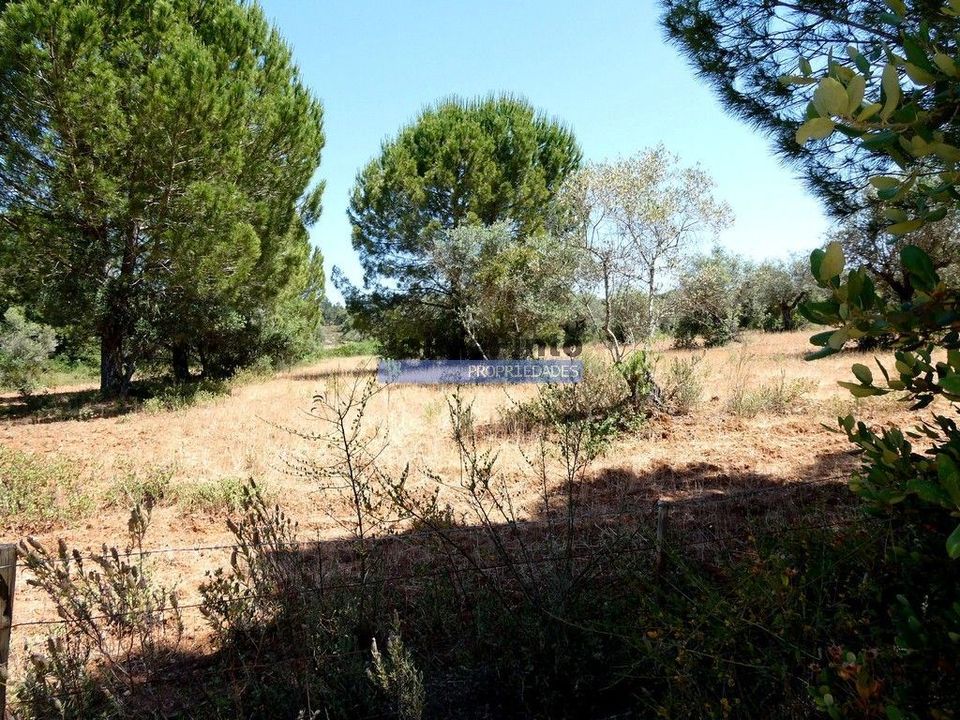 Terreno en Portel, Evora - foto 4