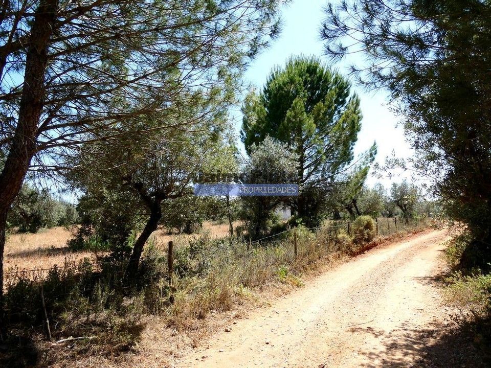 Terreno en Portel, Evora - foto 5