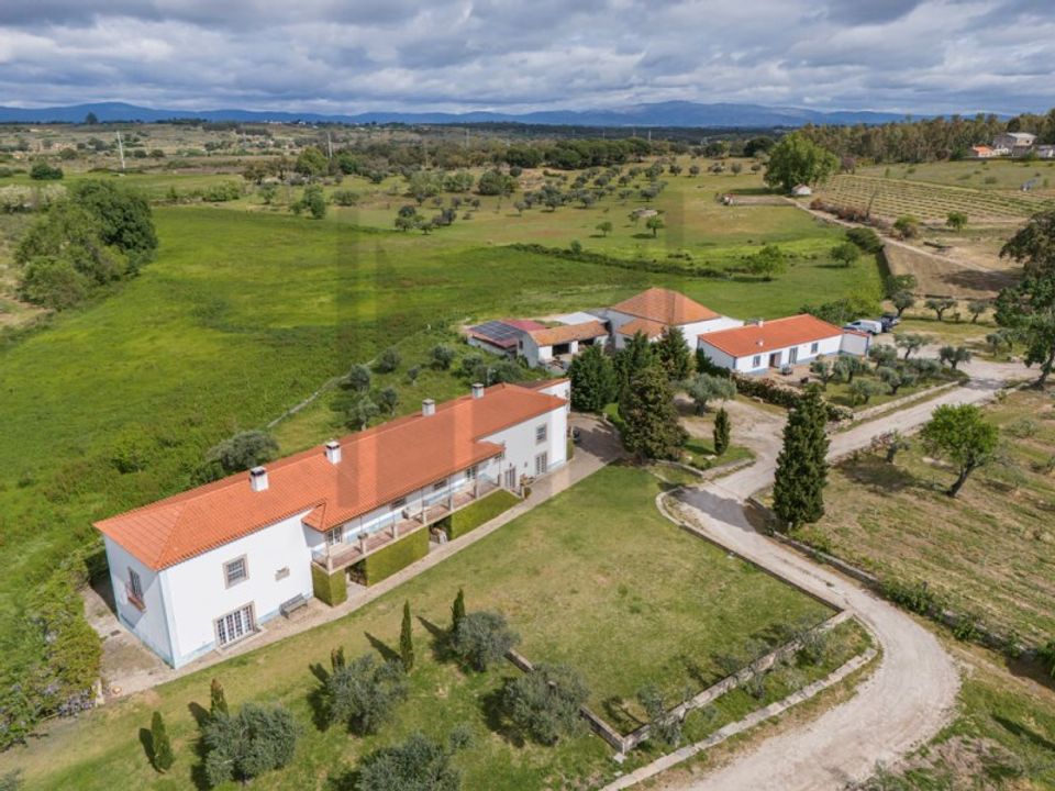 Farm i Castelo Branco, Castelo Branco - foto 5