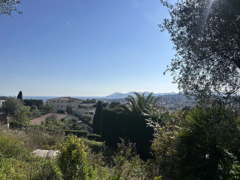 Terra a Le Cannet, Alpes-Maritimes - foto 2