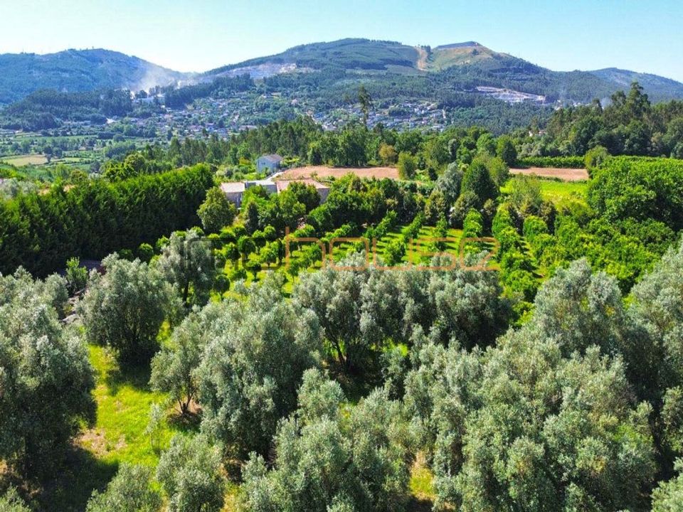 Farm i Povoa de Lanhoso, Braga - foto 5